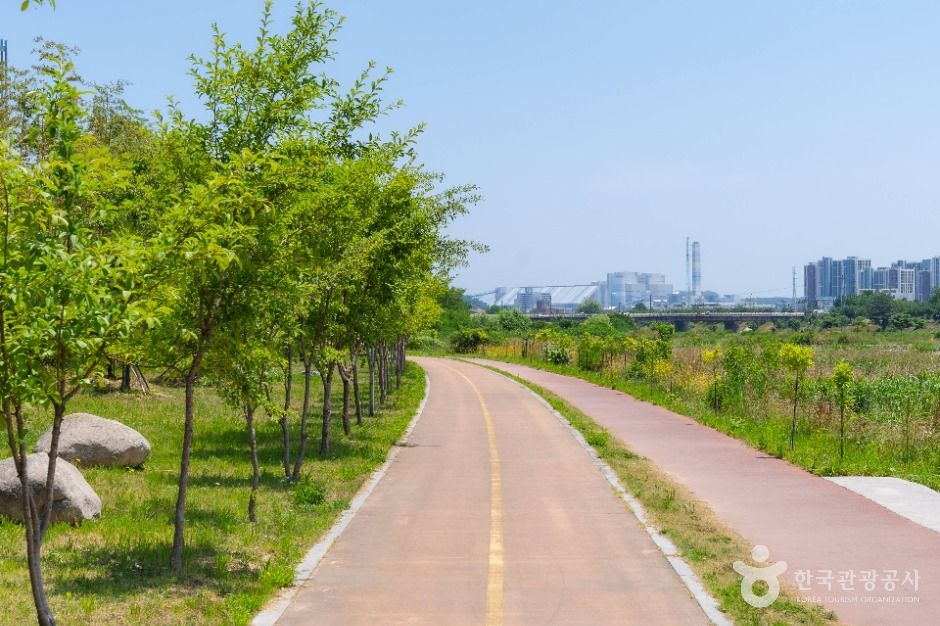 동해_해파랑길 33코스 (2)