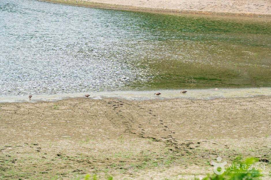 강릉_죽헌저수지 (2)