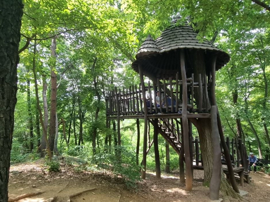 [서울둘레길 11코스] 관악산코스