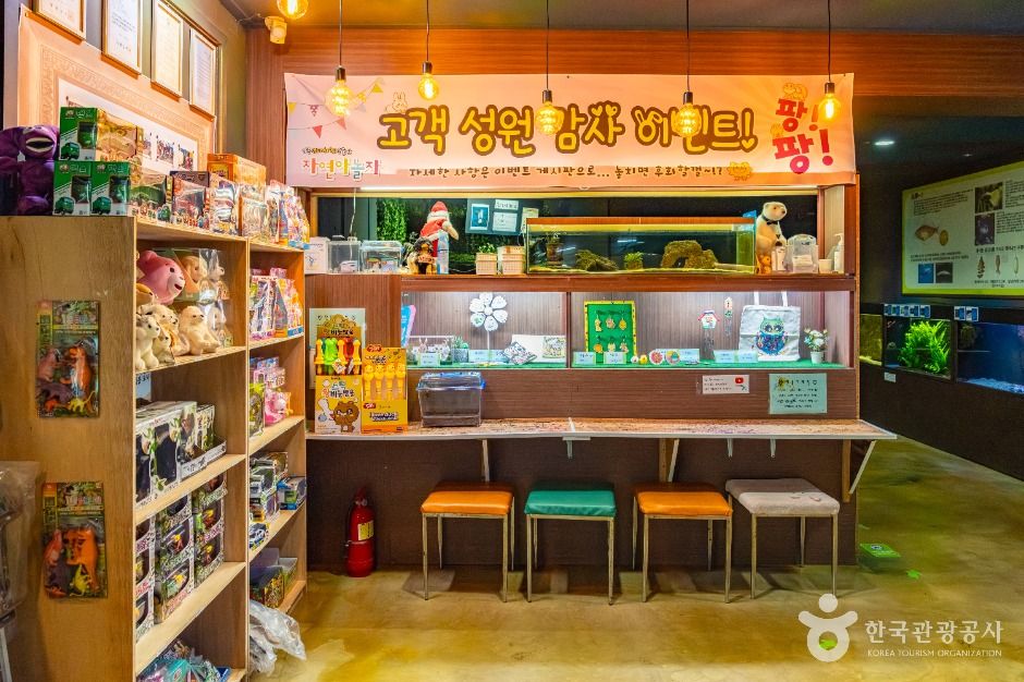 자연아놀자 체험학습박물관