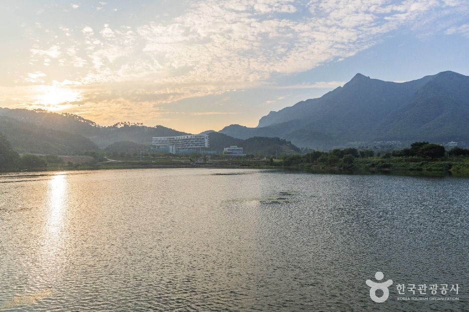 정읍_용산저수지 (8)