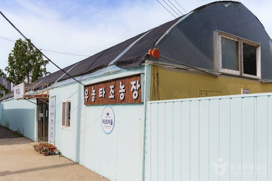 우농타조농장