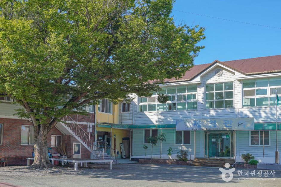 사천 고읍단감마을