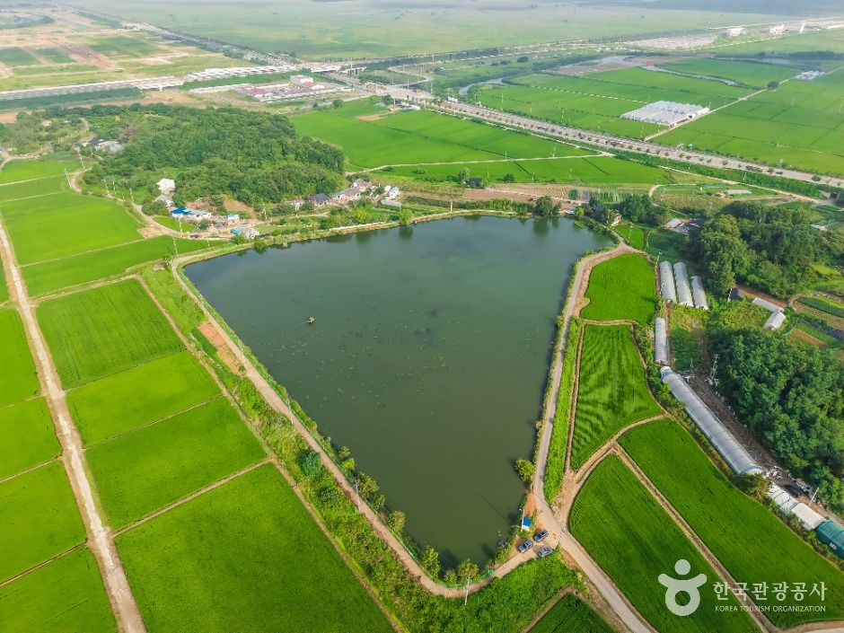 thumbnail-분지섬저수지-8