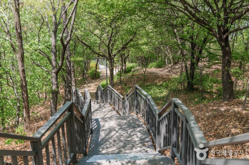 thumbnail-오동근린공원-10