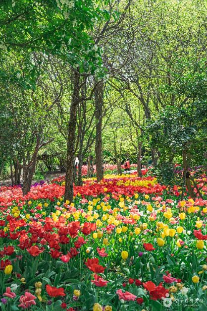 한국도로공사 전주수목원