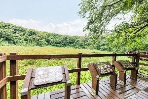 제주_물영아리오름 (3)