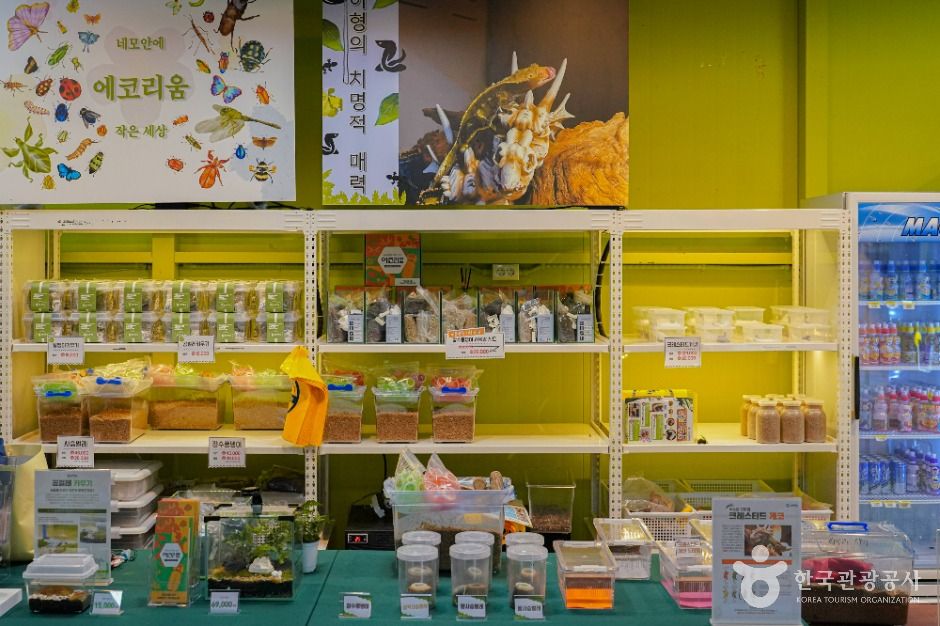 영암곤충박물관