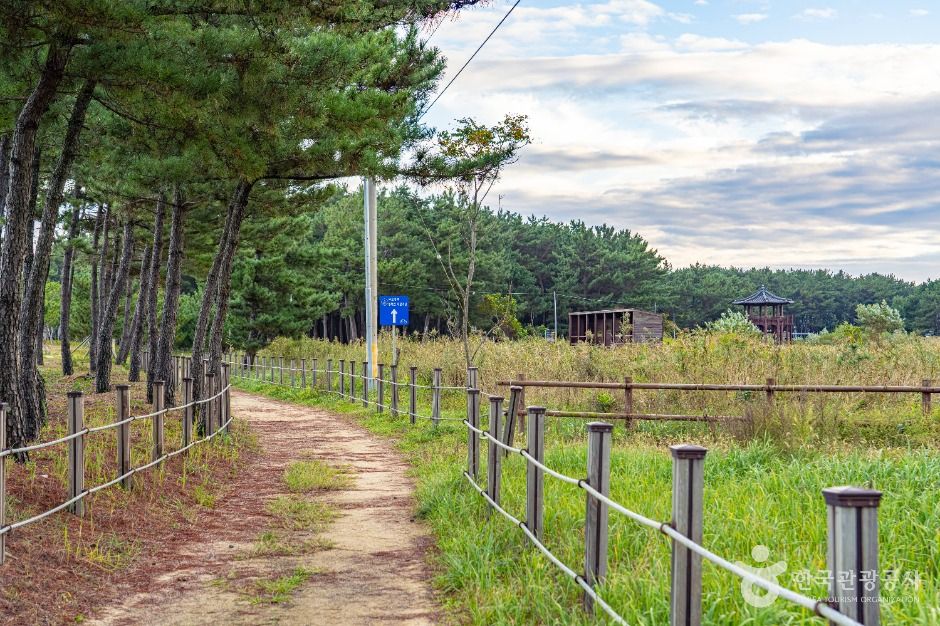 평해사구습지 생태공원