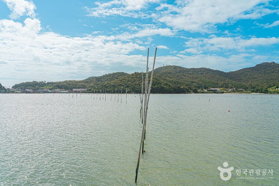 진도 접도어촌체험마을