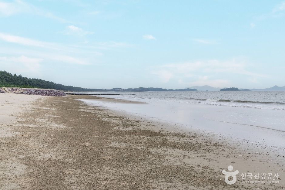 짱뚱어해수욕장