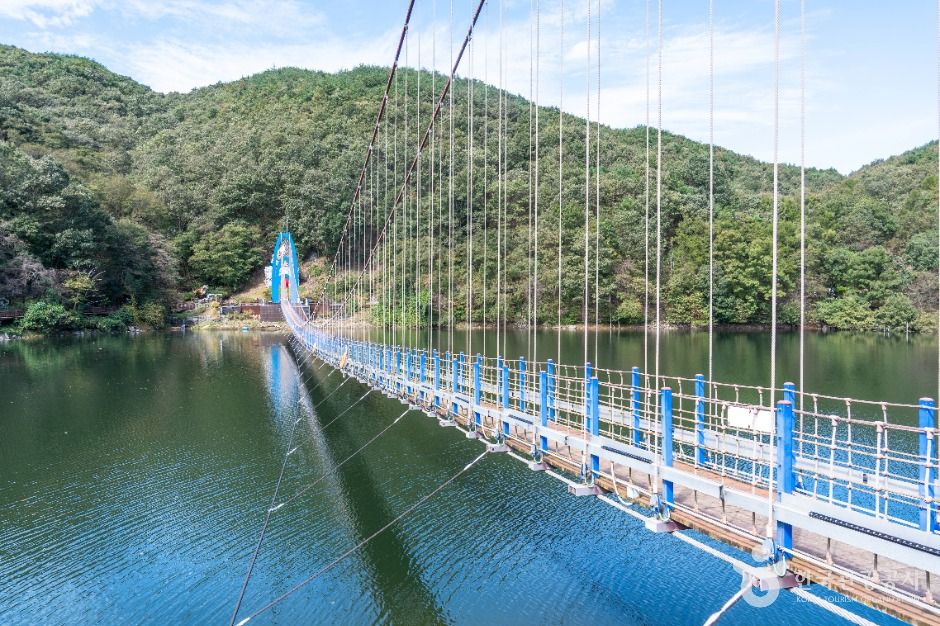 천장호 출렁다리