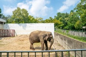 대구_대구 달성공원 (4)