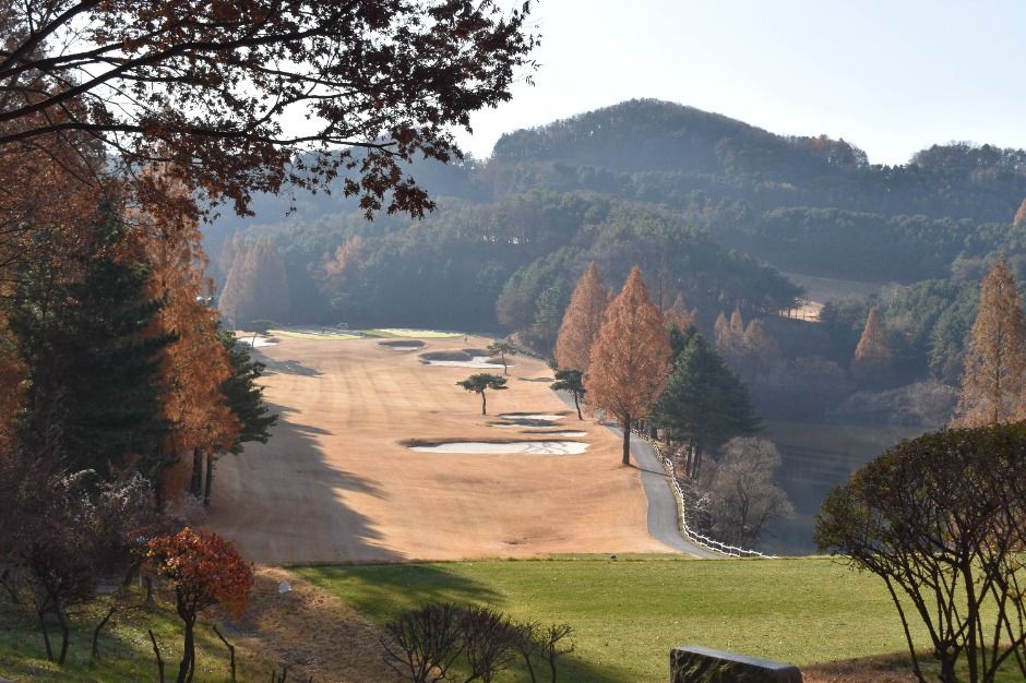 용인_88컨트리클럽 (7)