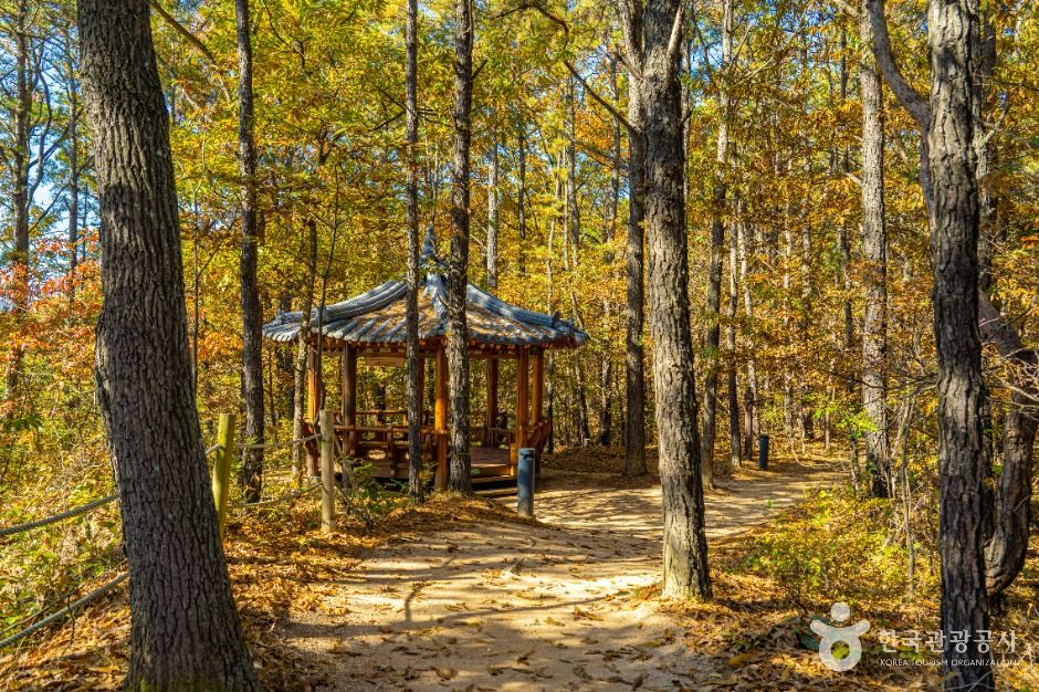 영동_양산팔경 금강둘레길 (7)