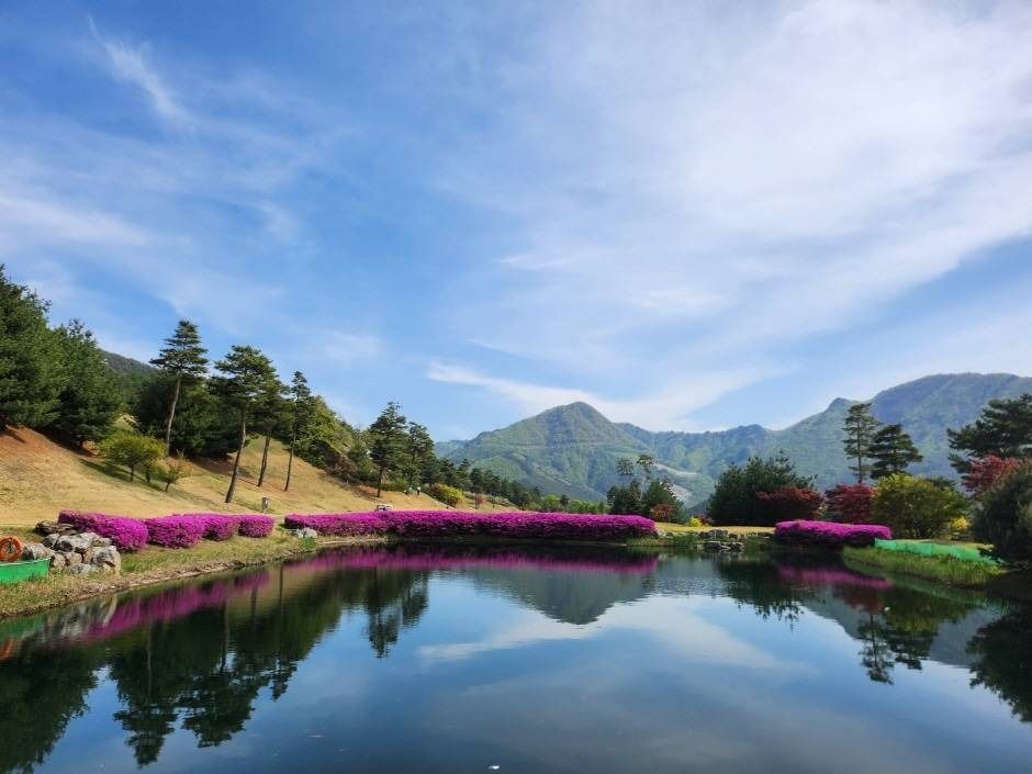 블랙밸리 컨트리클럽