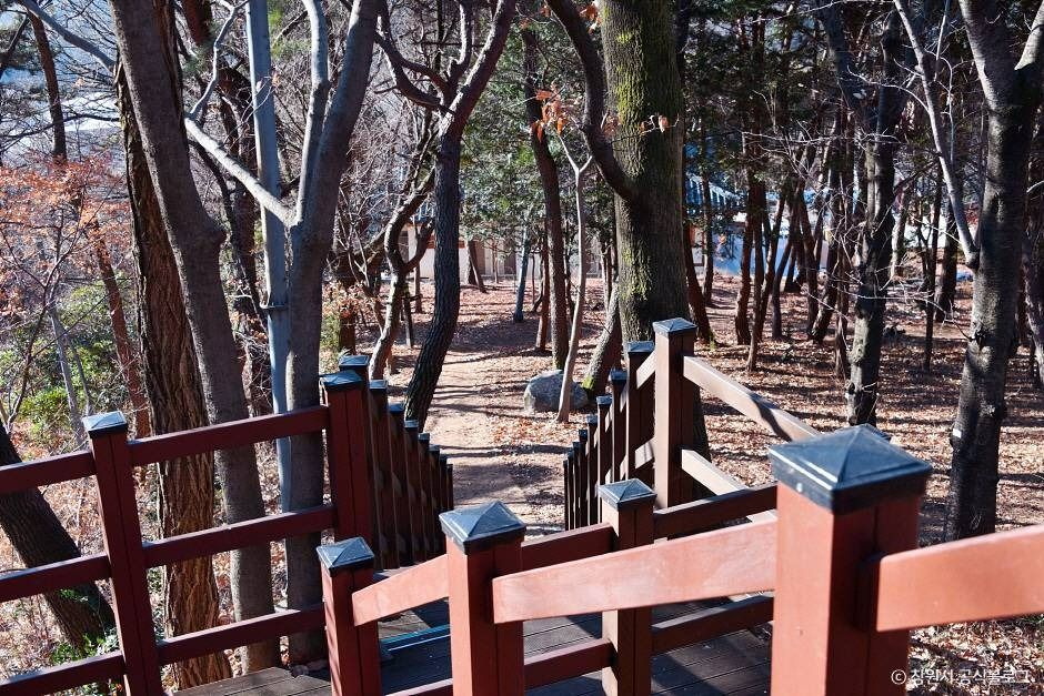 창원 편백 치유의 숲