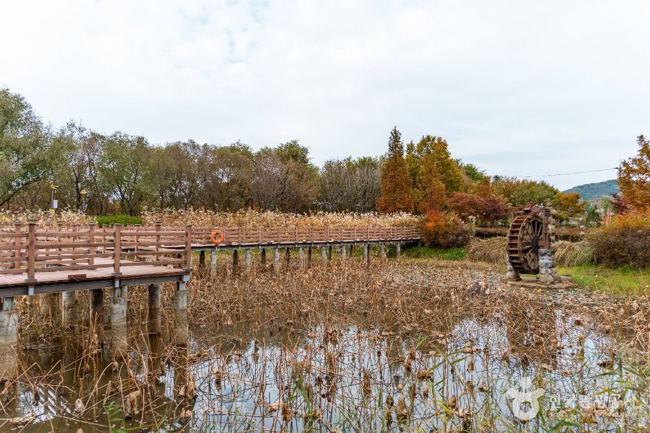 탑정호 수변생태공원