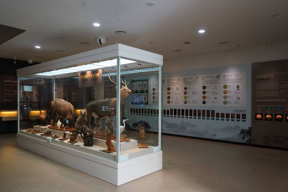 서울_허준박물관 (4)