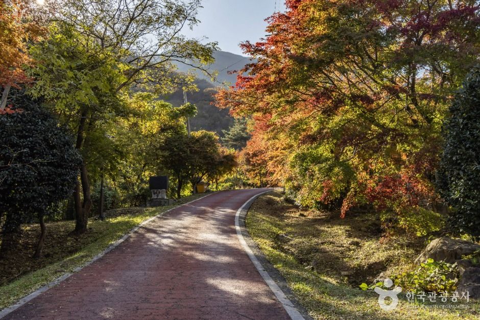 고흥_다도해해상국립공원(고흥) (5)
