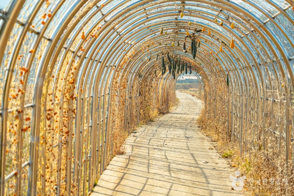 원연장 꽃잔디마을