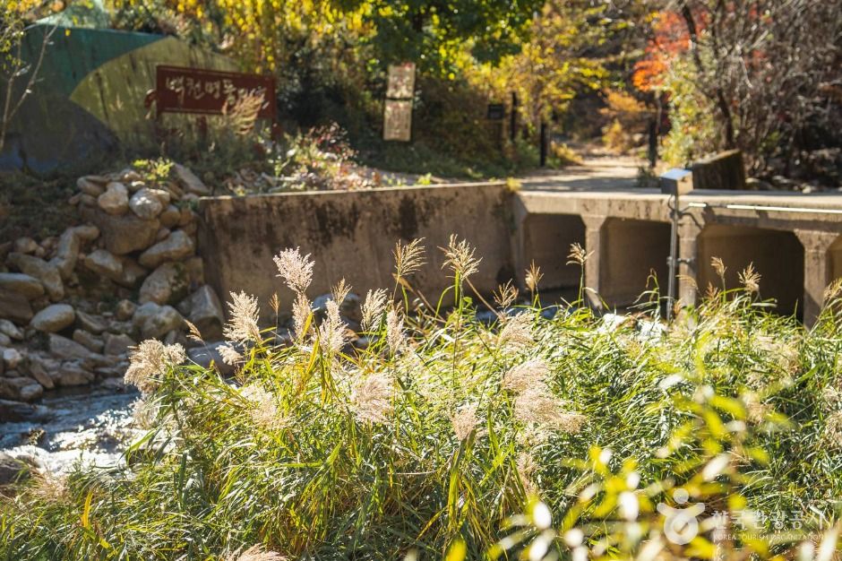 봉화 대현리 열목어 서식지