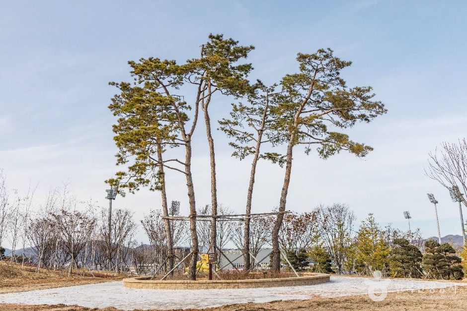 thumbnail-충주 시민의 숲-16