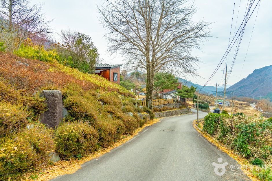 화순 수만리들국화마을