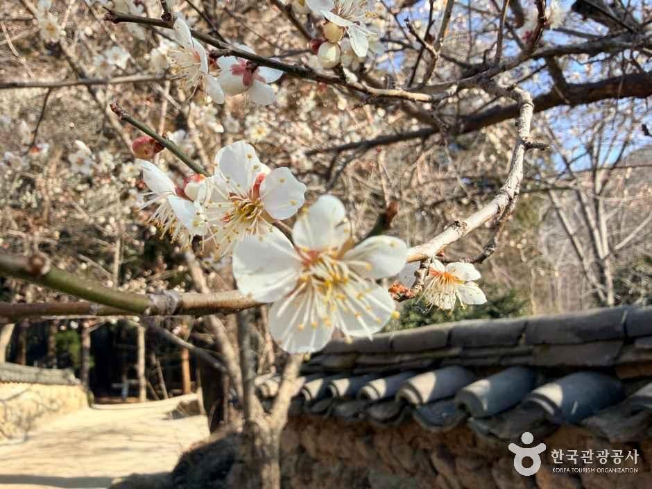 thumbnail-선암사 [유네스코 세계유산]-12