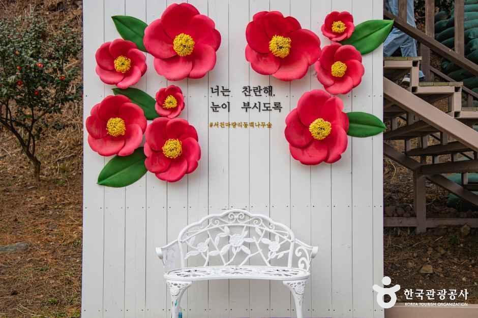 thumbnail-서천 마량리 동백나무 숲-4