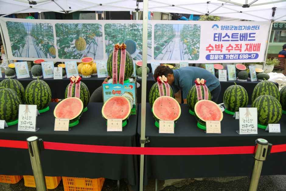 thumbnail-양평수박축제-1