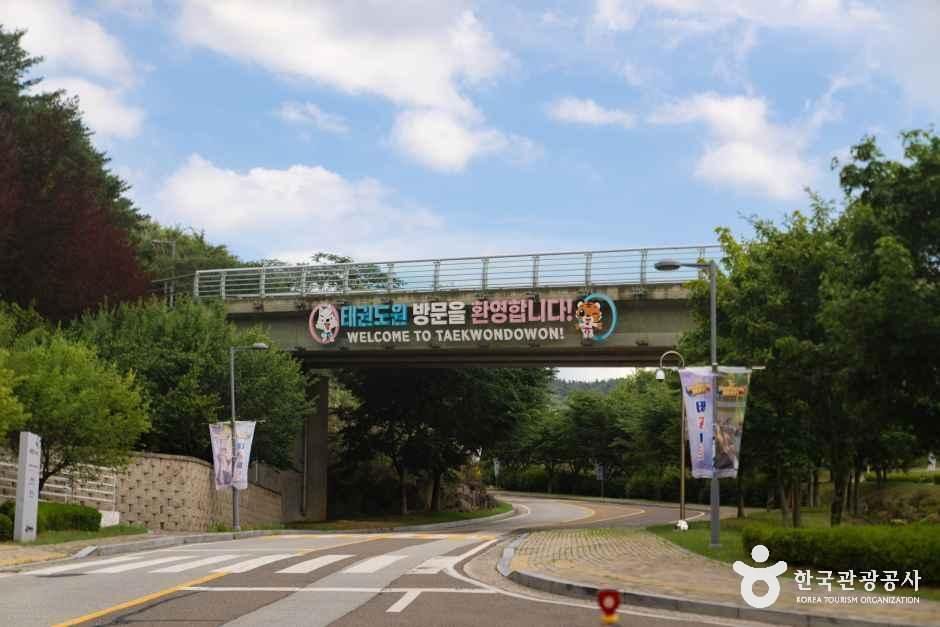thumbnail-태권도원-13