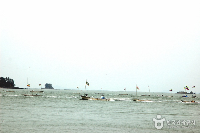 Jindo Miracle Sea Festival (진도 신비의바닷길축제)
