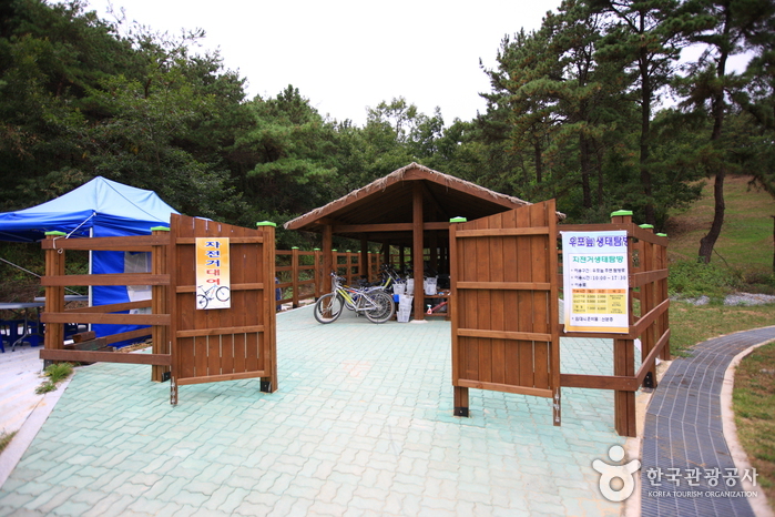 창녕 우포늪 사진29
