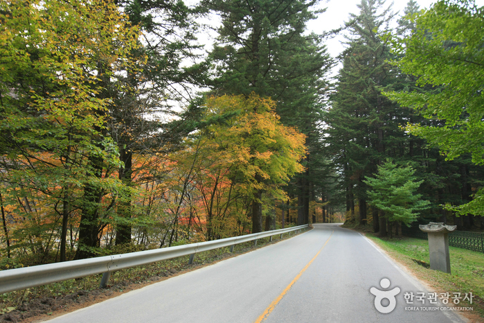 Odaesan National Park (오대산국립공원)