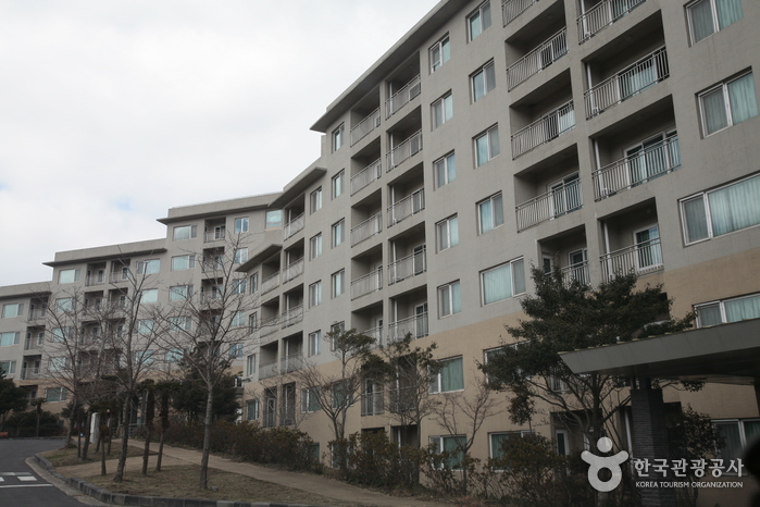 Hanwha Resort - Jeju (한화리조트 - 제주)