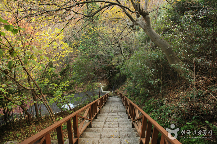부산광역시 연제구4