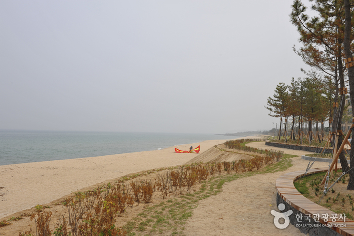 Пляж Намханчжин (남항진해변(남항진해수욕장))