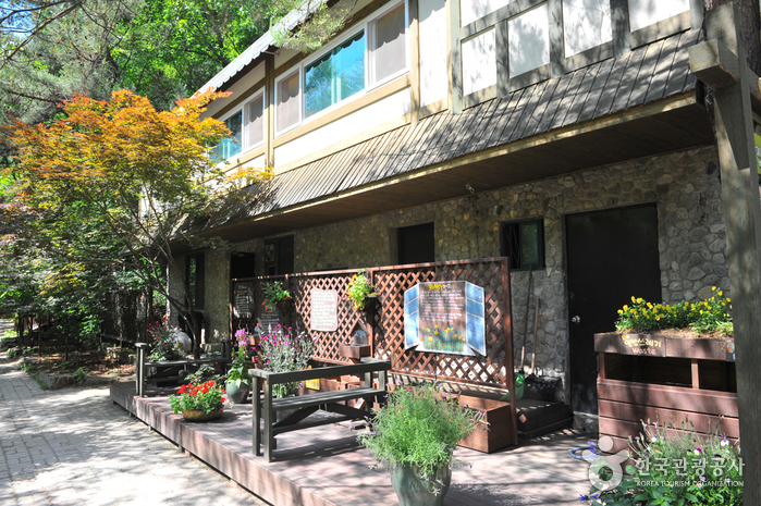 Herbnara Farm (허브나라농원)