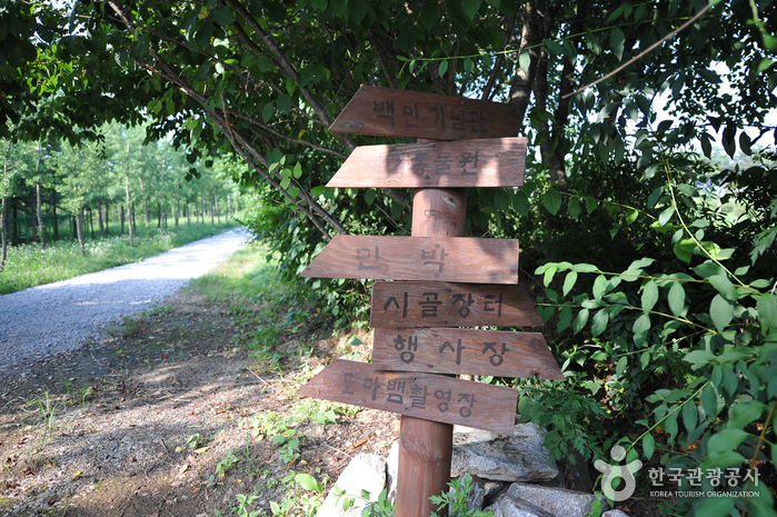 Borinara Hagwon Farm (보리나라 학원농장)