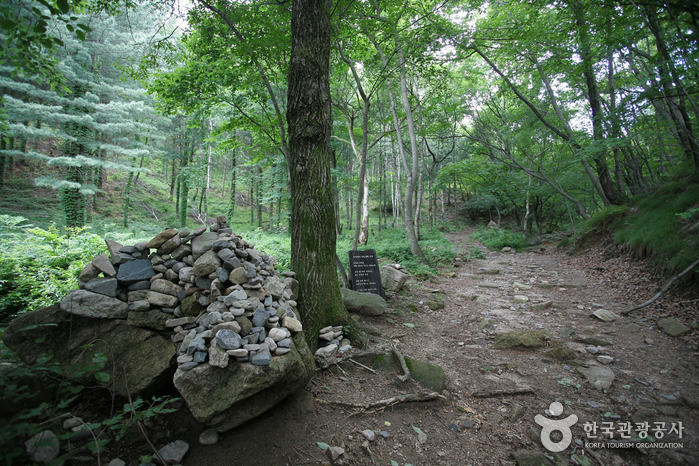 문경새재도립공원 사진44