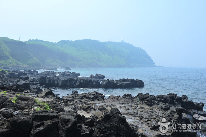 [제주올레 12코스] 무릉-용수 올레5