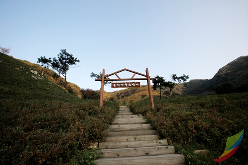 Bonghwasan Mountain (Jangsu-gun) (봉화산 - 장수군)