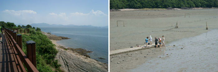 모항해변 산책로와 모항 갯벌