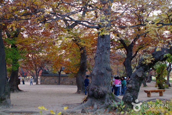 Gyerim Forest (계림)