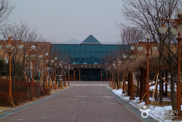 Gangwon-do Forestry Museum (강원도 산림박물관)