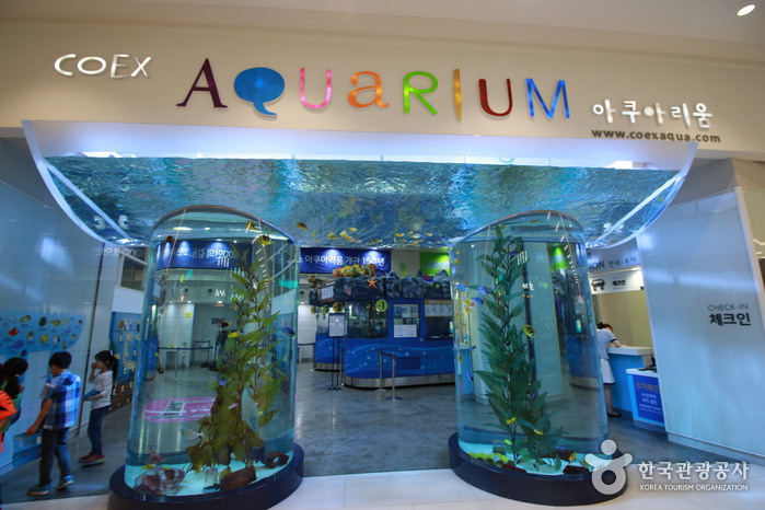Aquarium del COEX (코엑스 아쿠아리움)