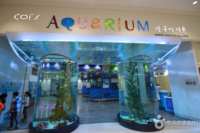 COEX水族館(코엑스 아쿠아리움)