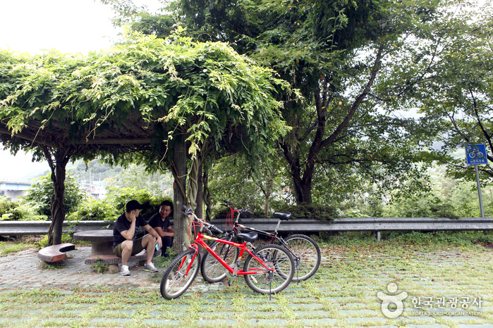 나무 그늘에서 잠시 쉬는 시간