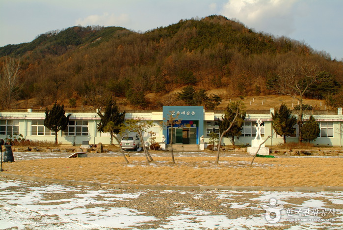 Village des artistes de Sangju (상주예술촌-작가전용공간, 관광지로 부적합)